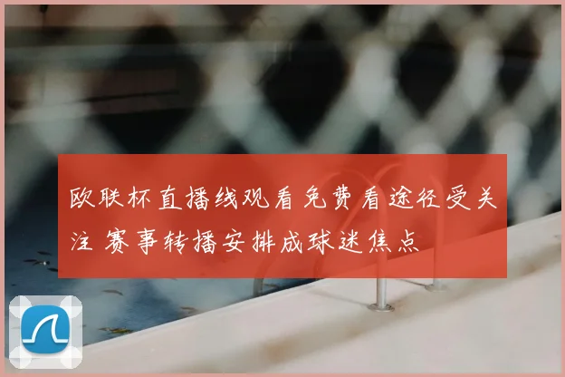 欧联杯直播线观看免费看途径受关注 赛事转播安排成球迷焦点