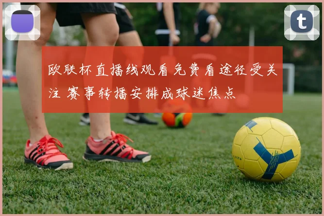 欧联杯直播线观看免费看途径受关注 赛事转播安排成球迷焦点