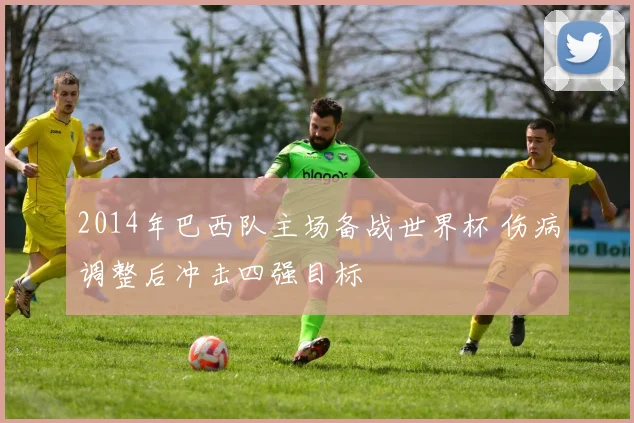 2014年巴西队主场备战世界杯 伤病调整后冲击四强目标