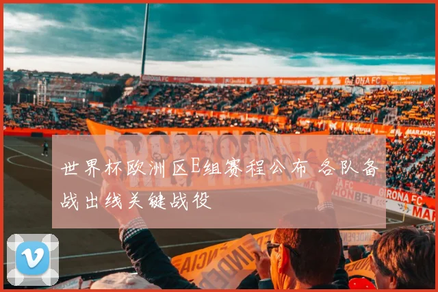 世界杯欧洲区E组赛程公布 各队备战出线关键战役